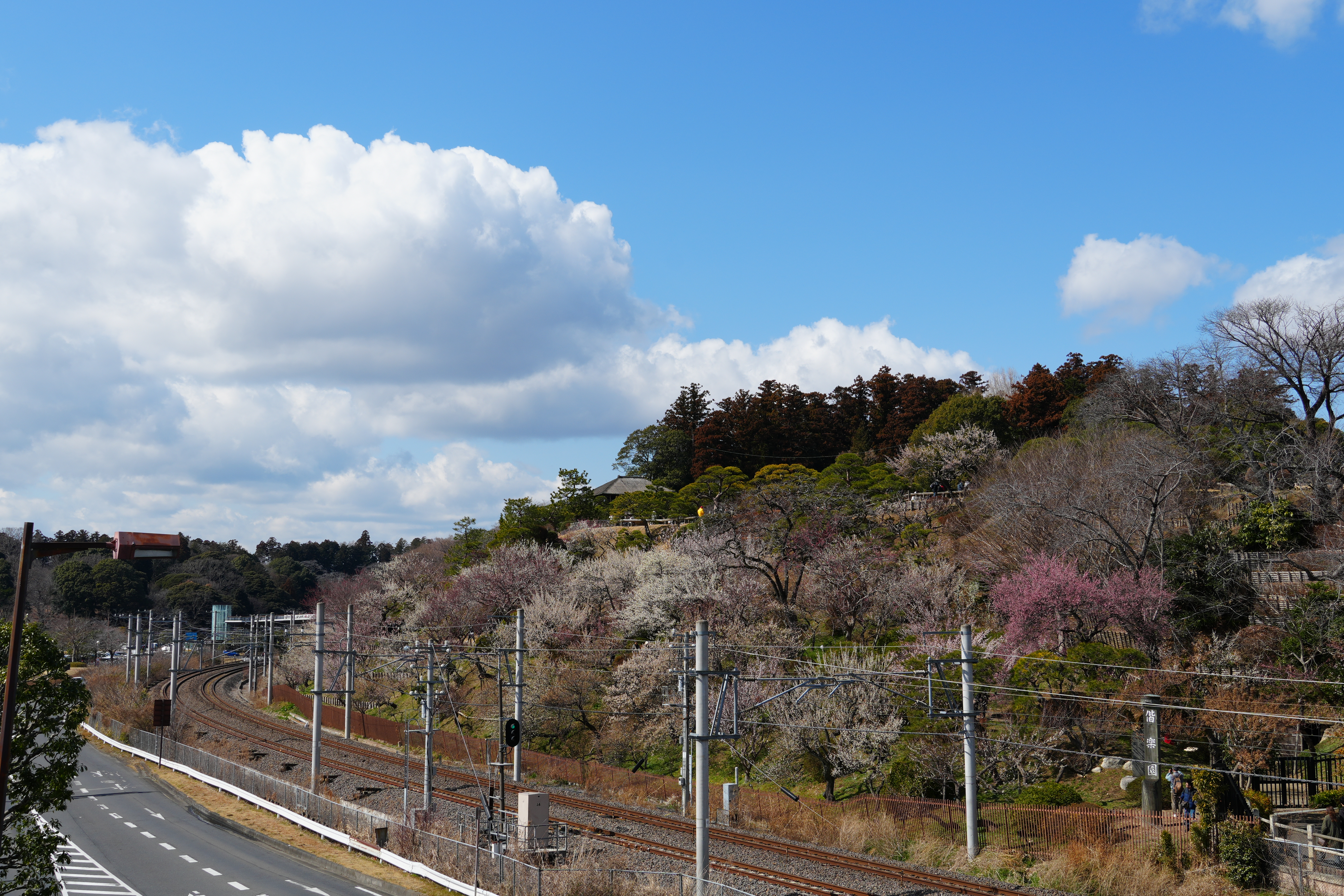鉄道と梅の風景