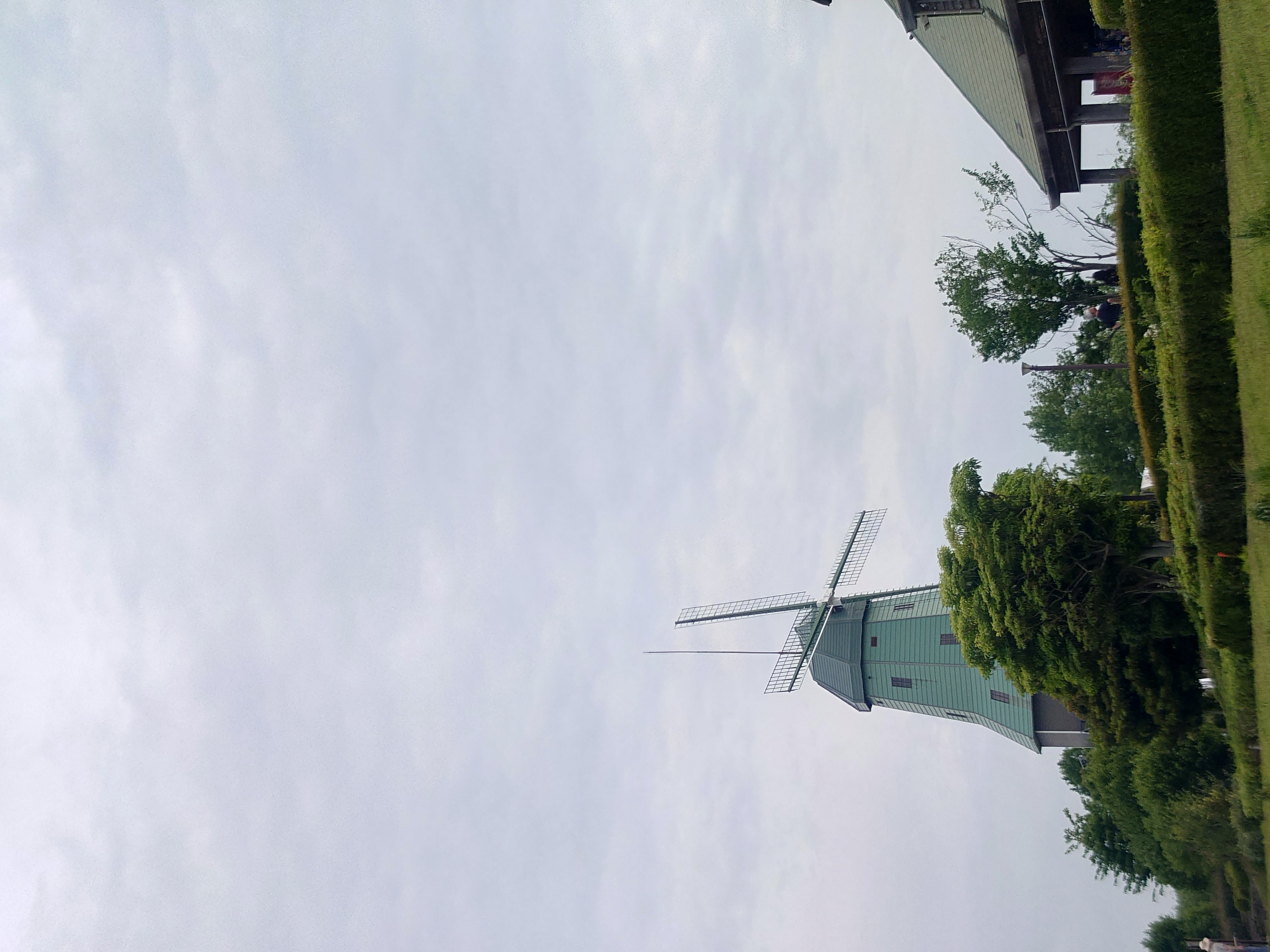 【風車が目印！】霞ヶ浦総合公園行ってきた！