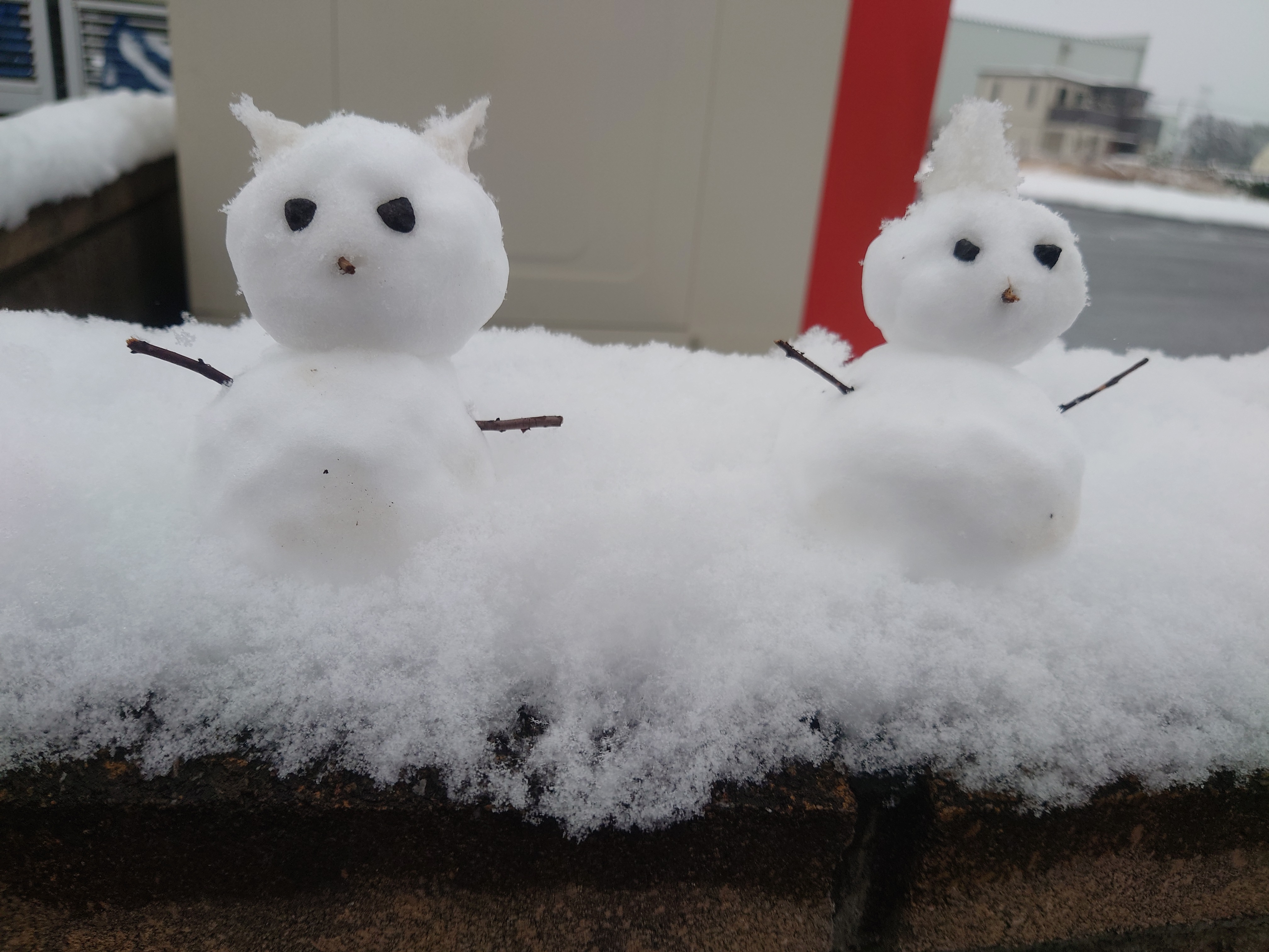 つくば市で大雪警報！10cm積もった北関東では珍しい雪景色