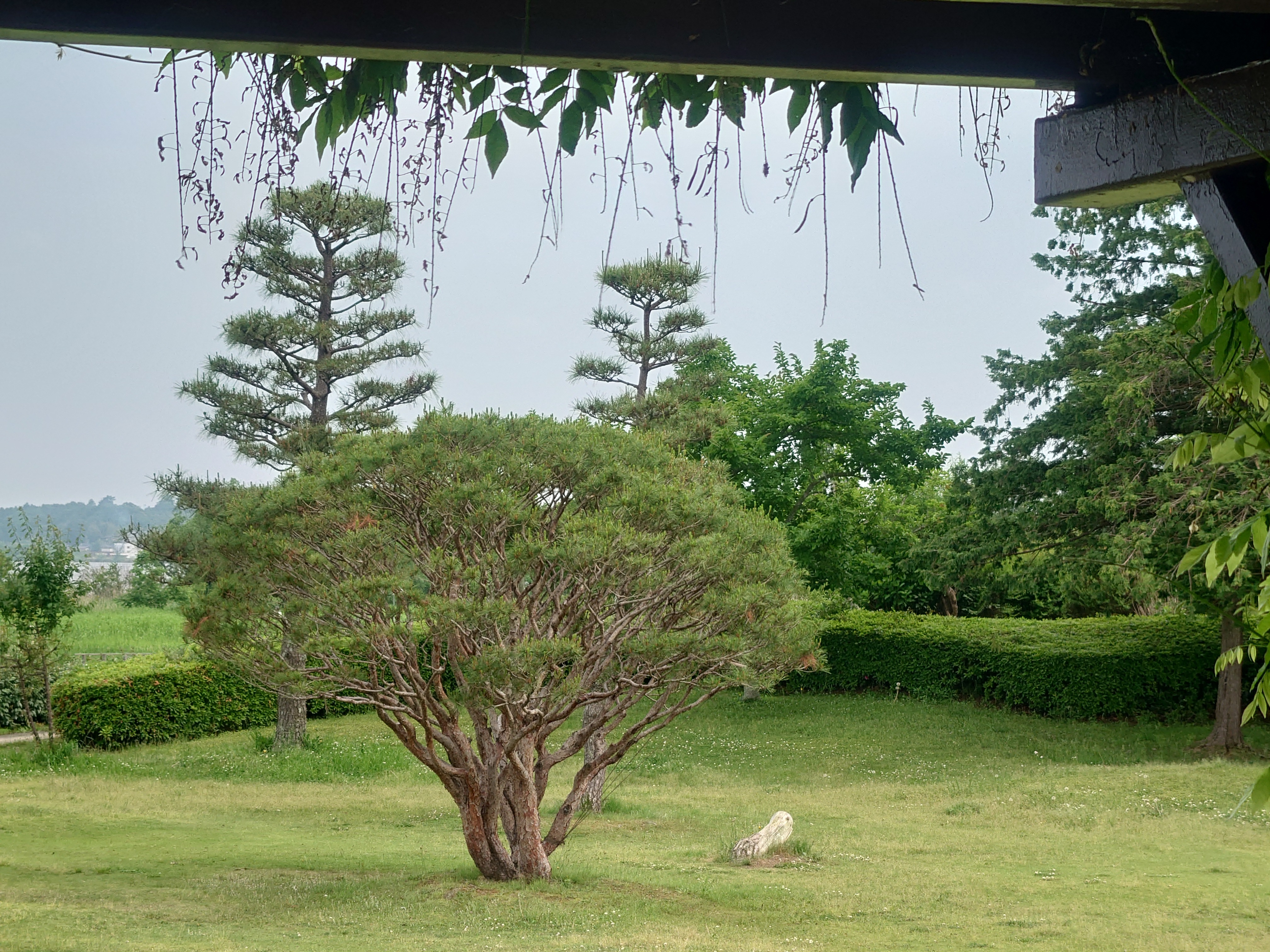 霞ヶ浦湖畔の風景