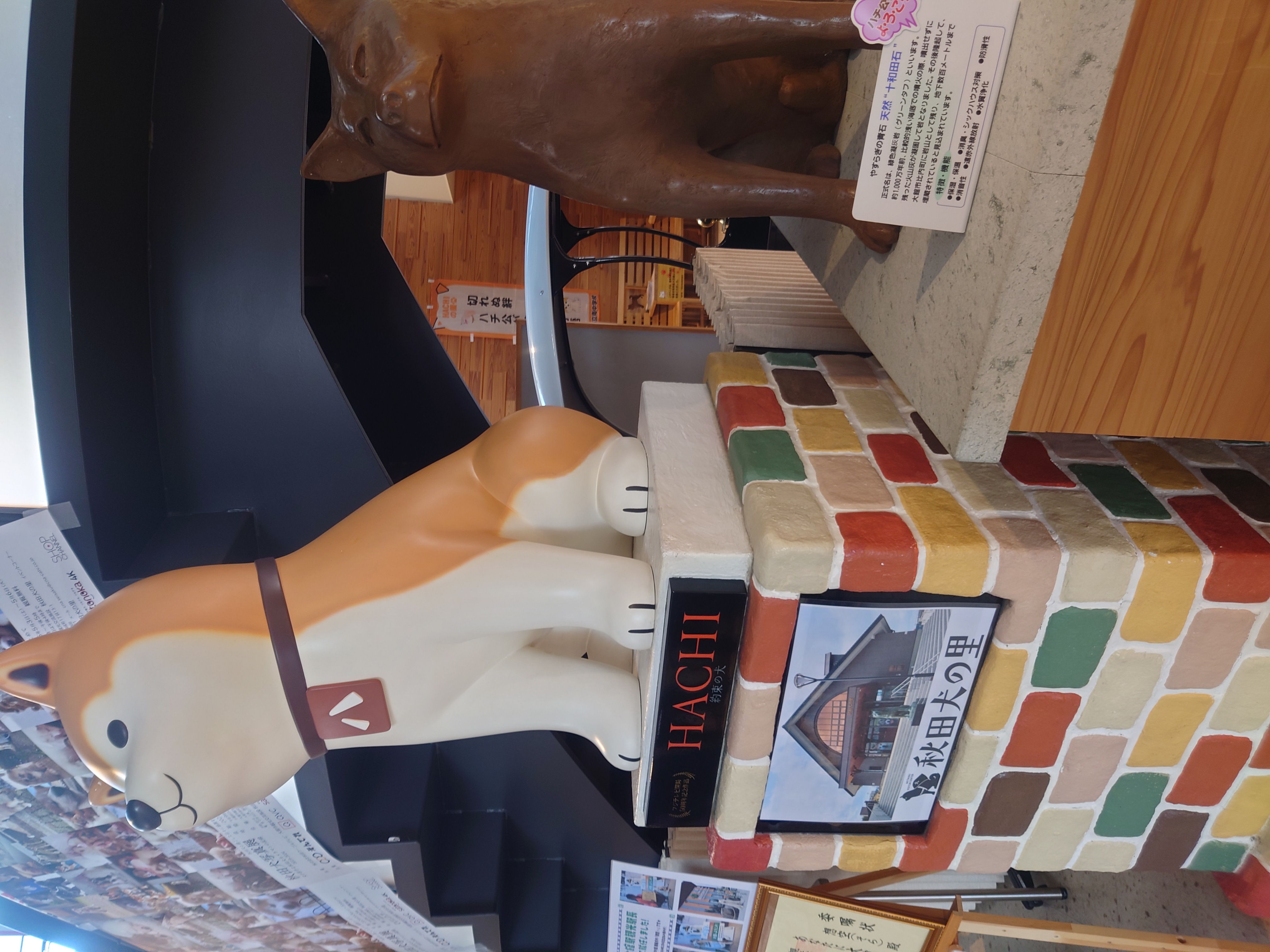 ハチ公展示
